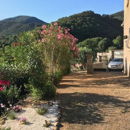 Bel Appartement Type F3 Amélie-les-Bains-Palalda Exteriör bild