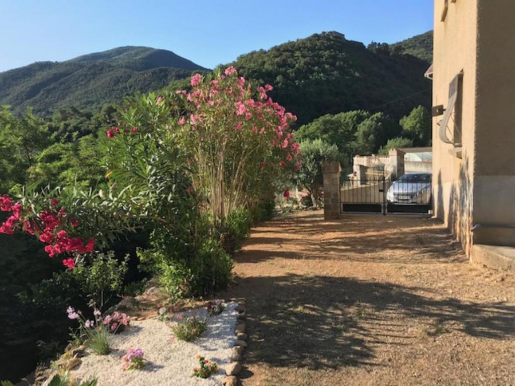 Bel Appartement Type F3 Amélie-les-Bains-Palalda Exteriör bild