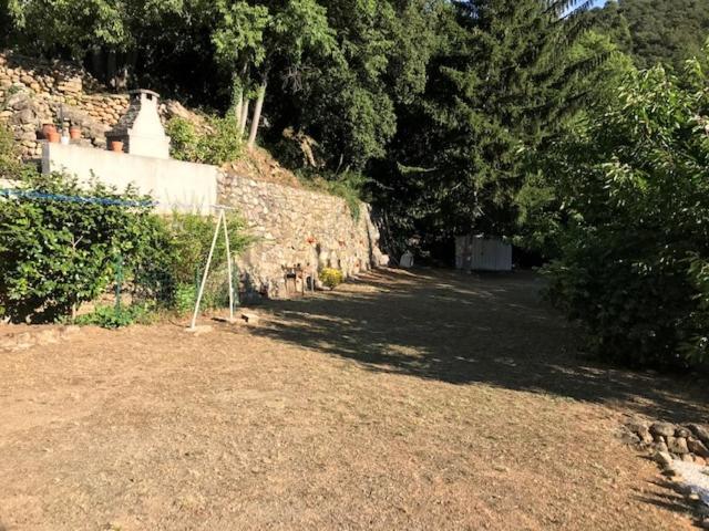 Bel Appartement Type F3 Amélie-les-Bains-Palalda Exteriör bild